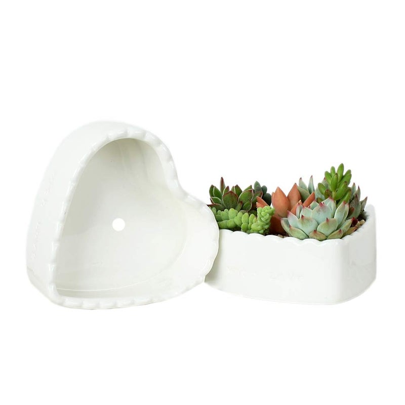 JHNIF 2pcs Heart-Shaped Pure White Ceramic Cactus Succulent Plant Pots. - Image 4